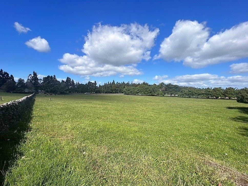 67 Millington Road, Maunu, Whangarei - Carousel 1