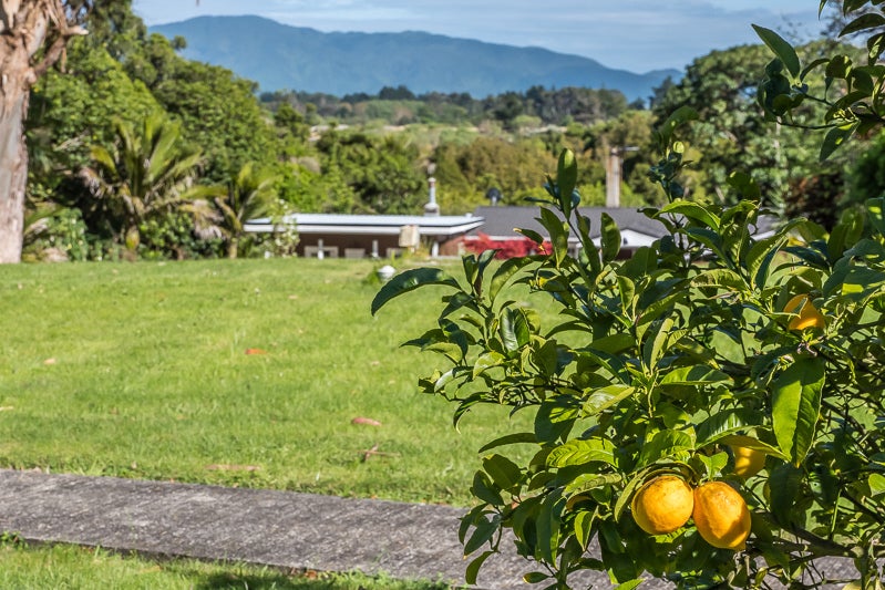 185 Main road, Otaihanga, Paraparaumu - Carousel 26
