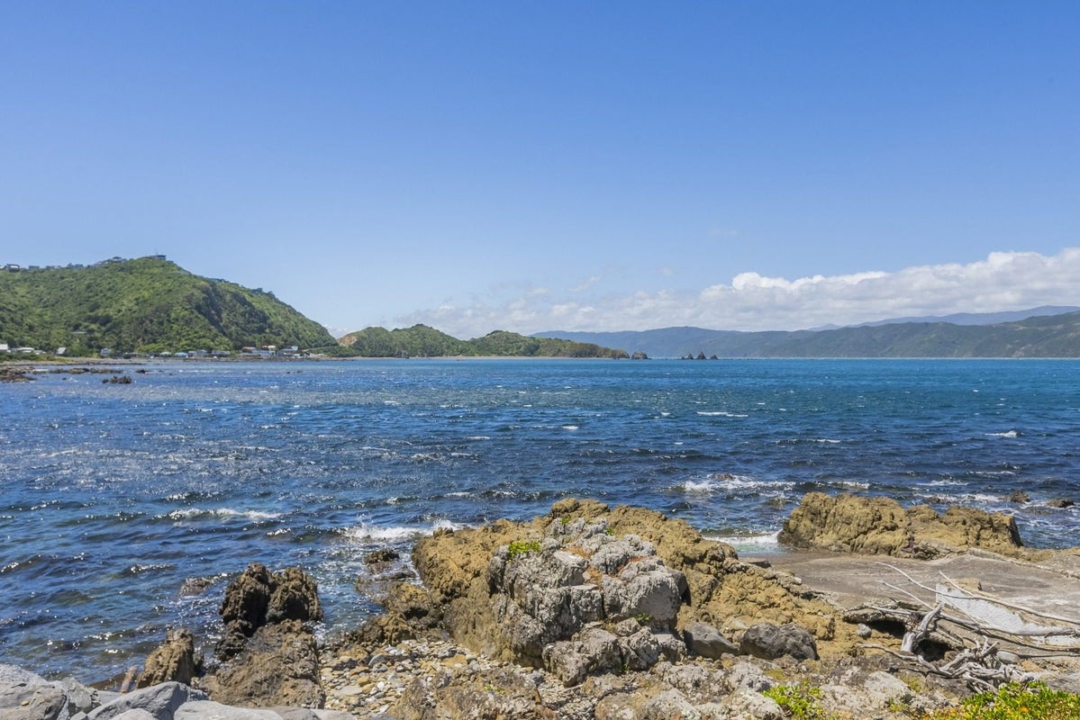 170 Breaker Bay Road, Breaker Bay, Wellington - Carousel 23