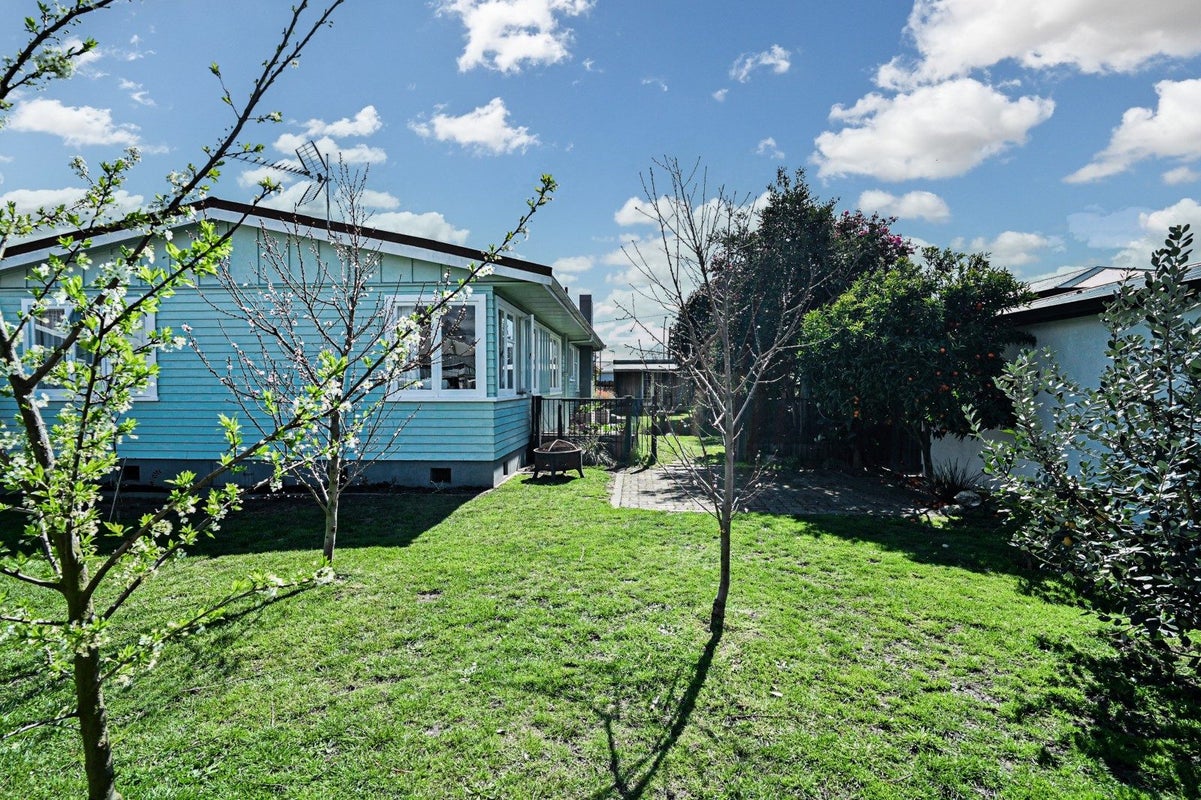 903 Rangiora Street, Mahora, Hastings - Carousel 16