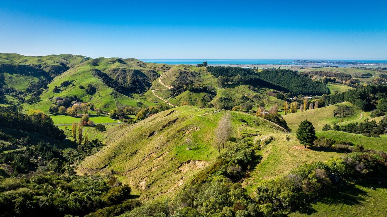 863 Puketitiri Road, Puketapu, Napier - Carousel 23