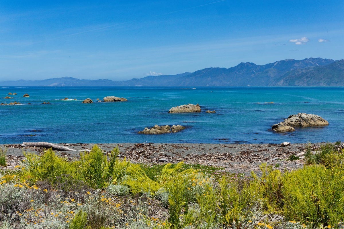 19 South Bay Parade, Kaikoura, Kaikoura, Marlborough - Carousel 50