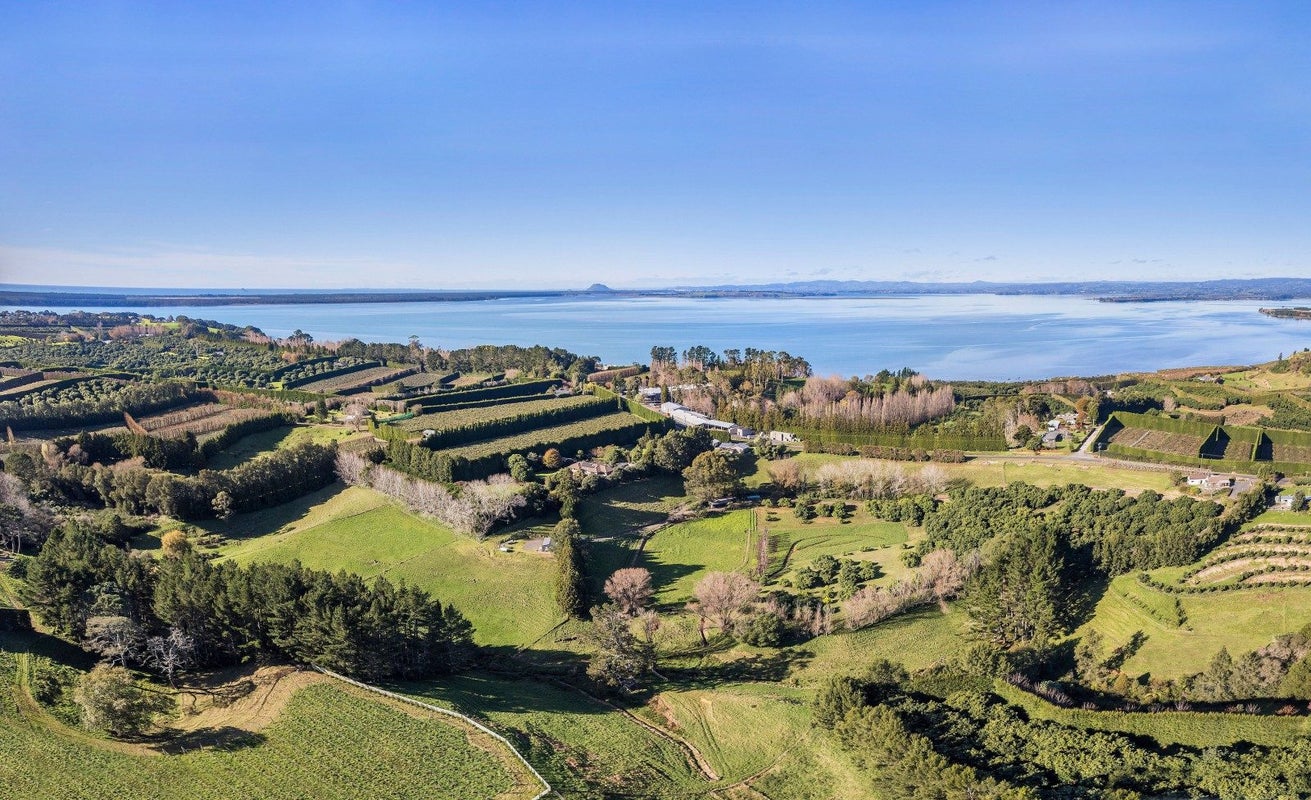 3/303 Point Chevalier Road, Point Chevalier, Auckland - Carousel 29