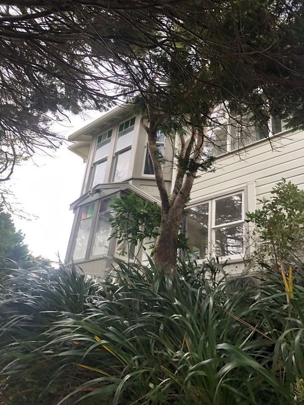21 Disley Street, Highbury, Wellington - Carousel 1