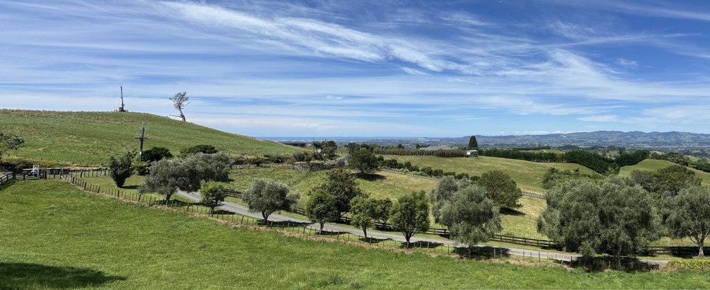 461B Minden Road, Minden, Tauranga - Carousel 2