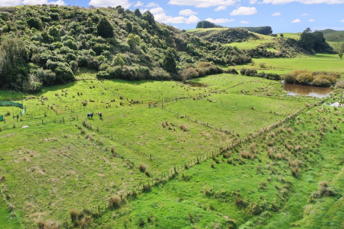 0 Pukemiku Road, Mangamutu, Pahiatua - Carousel 2