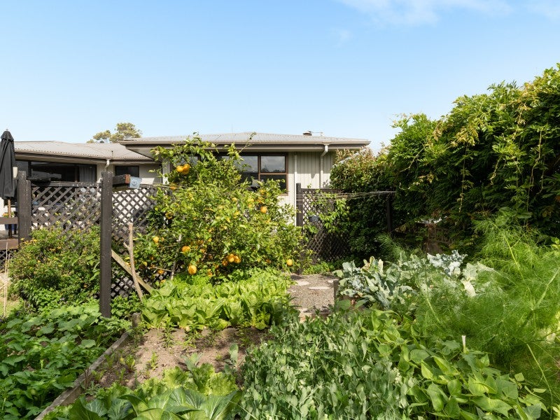 5 Tanner Street, Tauranga South, Tauranga - Carousel 26
