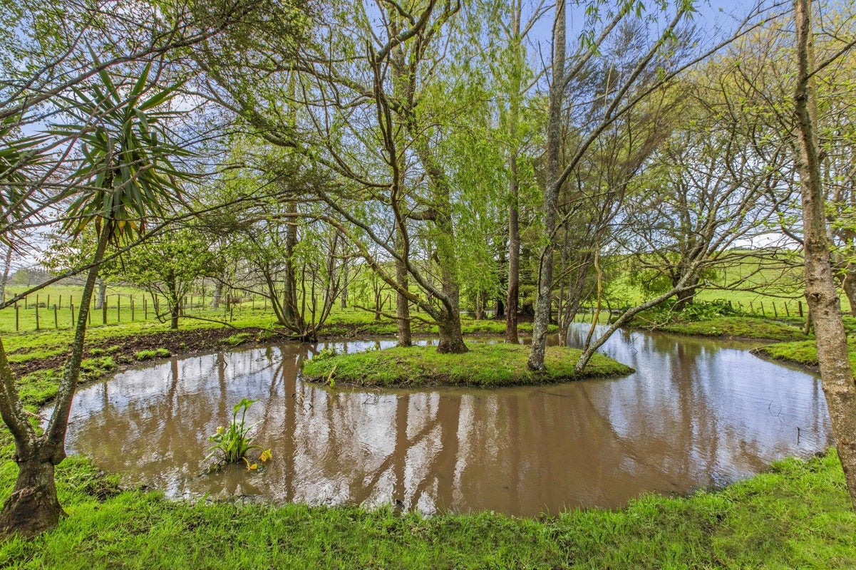 1041 Horotiu Road, Whatawhata, Hamilton - Carousel 14