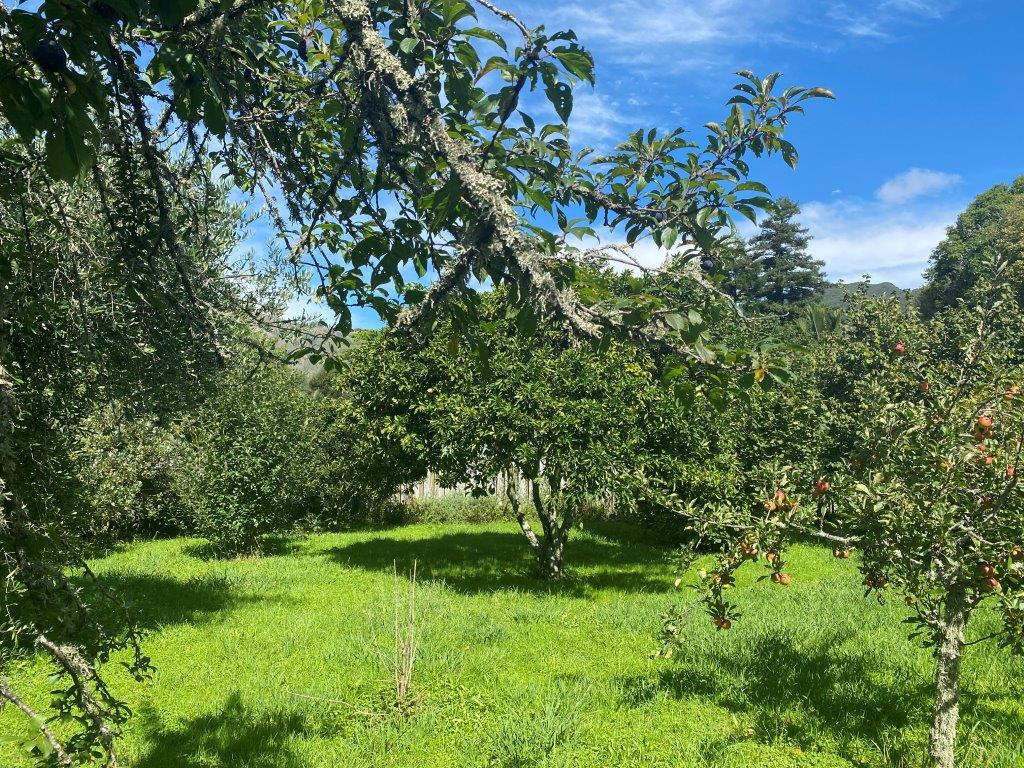 630 Abel Tasman Drive, Takaka - Carousel 14