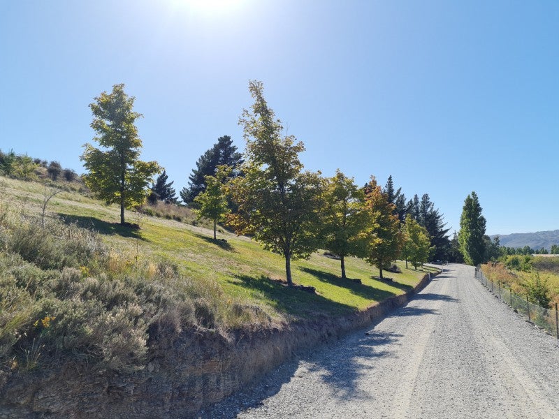 275A Earnscleugh Road, Earnscleugh, Alexandra - Carousel 2