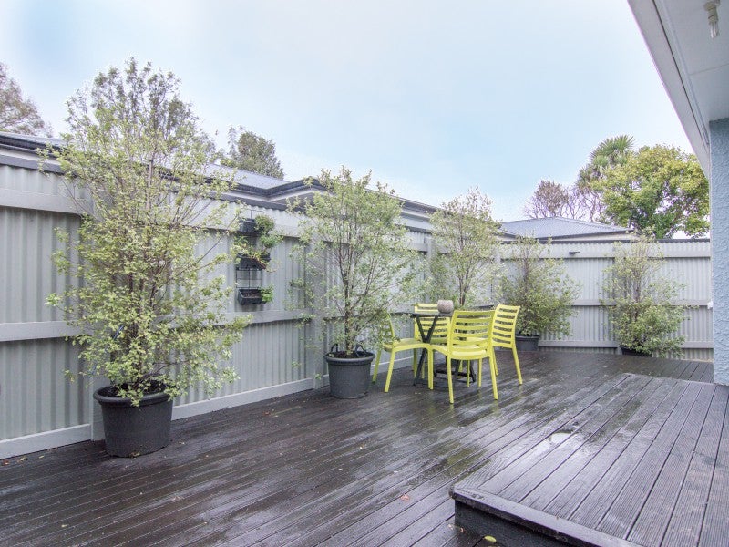 22 Alfred Street, Roslyn, Palmerston North - Carousel 16