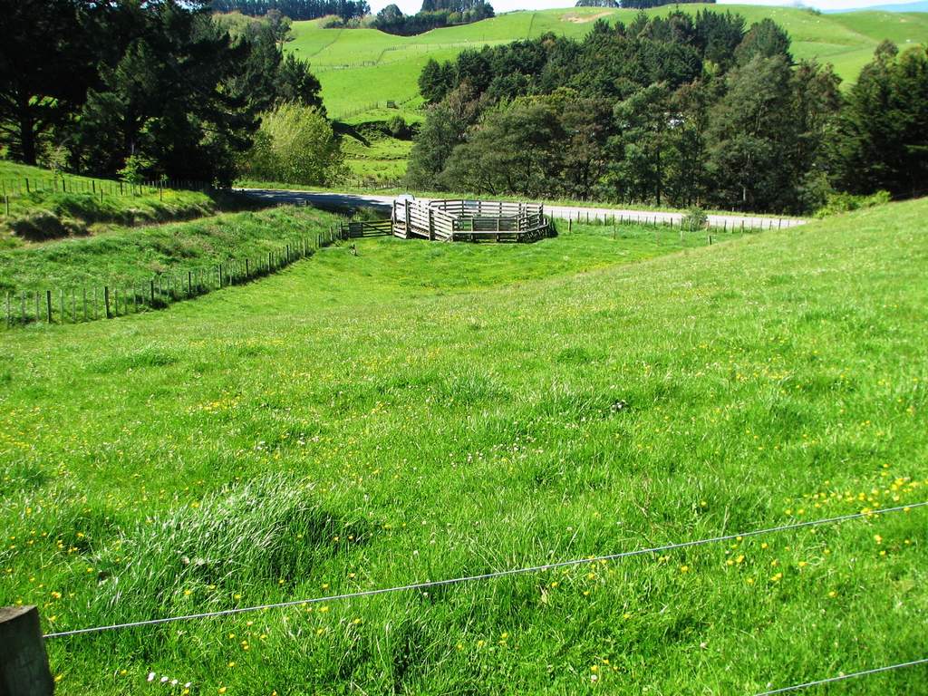 291 Ulysses Road, Ashhurst, Palmerston North - Carousel 2