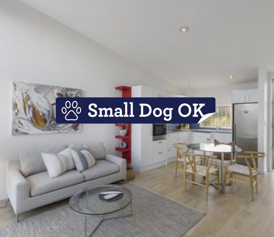 11H Gundry Street, Auckland Central, Auckland - Carousel 1
