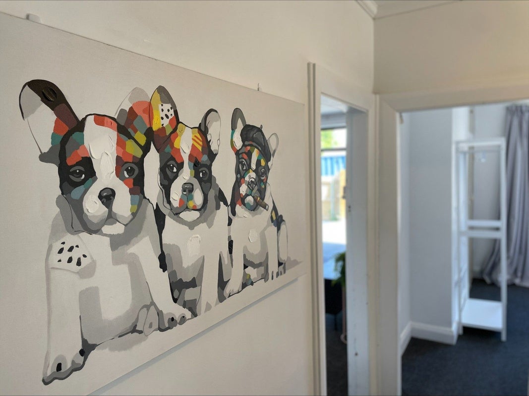 13 Wilson Street, Seaview, Timaru - Carousel 21