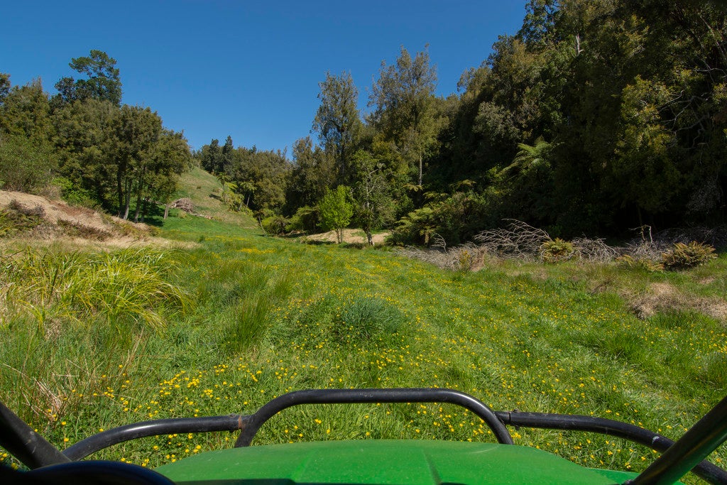 178 Hereford Road, Oropi, Tauranga - Carousel 21