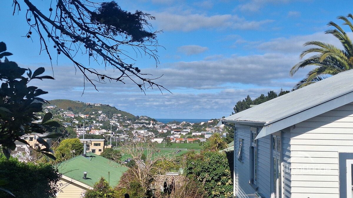 19 Chilka Street, Berhampore, Wellington - Carousel 16