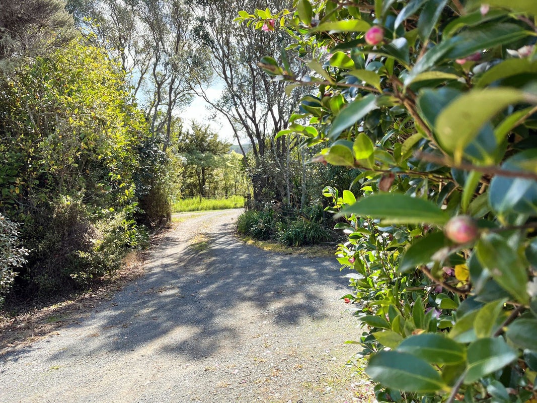 55 Oakleigh Rise, Oakleigh, Whangarei - Carousel 24
