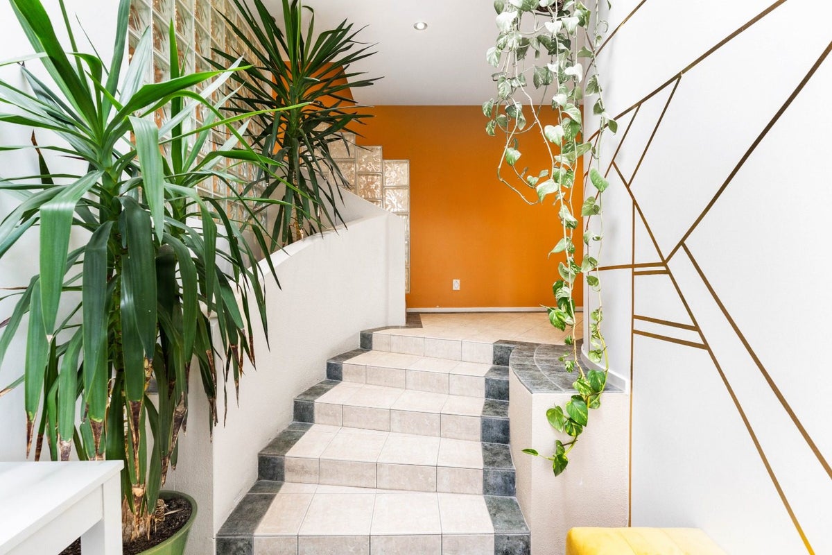6 Peach Parade, Remuera, Auckland - Carousel 2