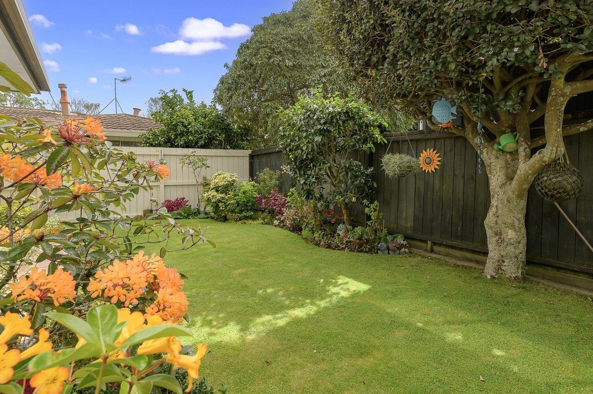 64B Sixteenth Avenue, Tauranga South, Tauranga - Carousel 16