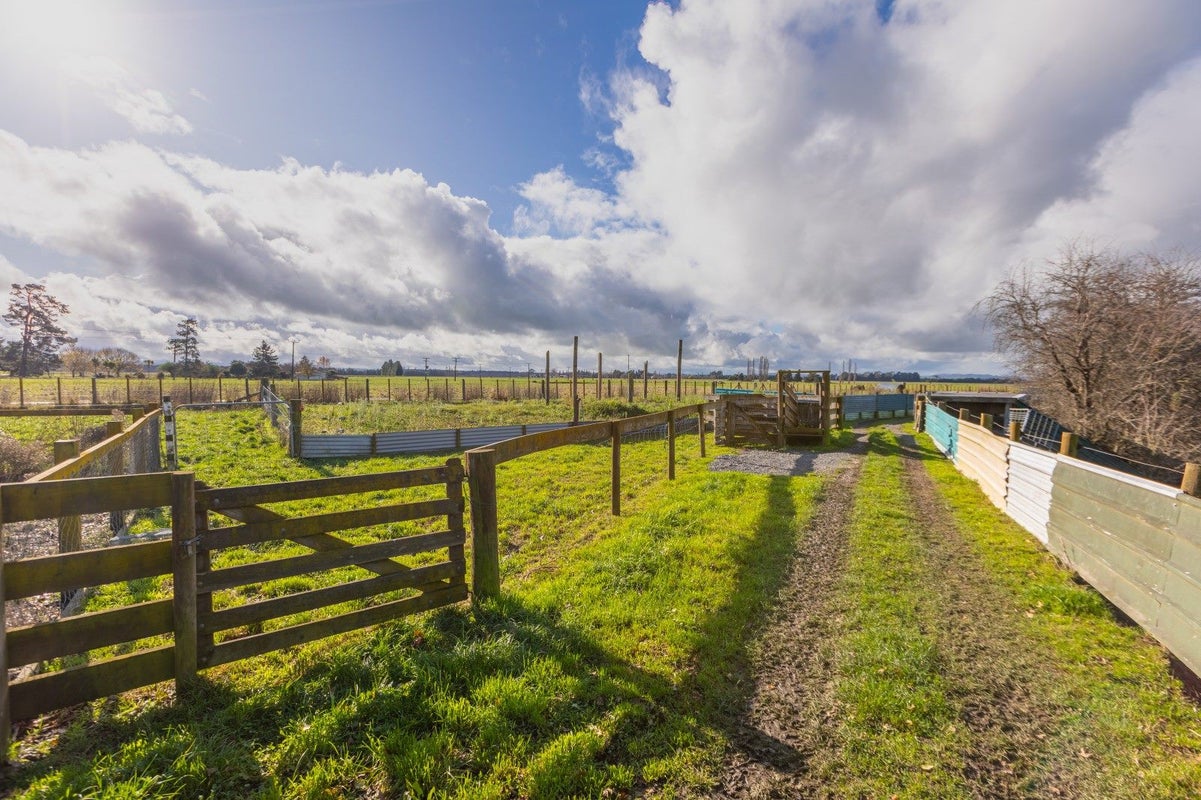 262 Burnside Road, Ashley Clinton, Takapau - Carousel 20
