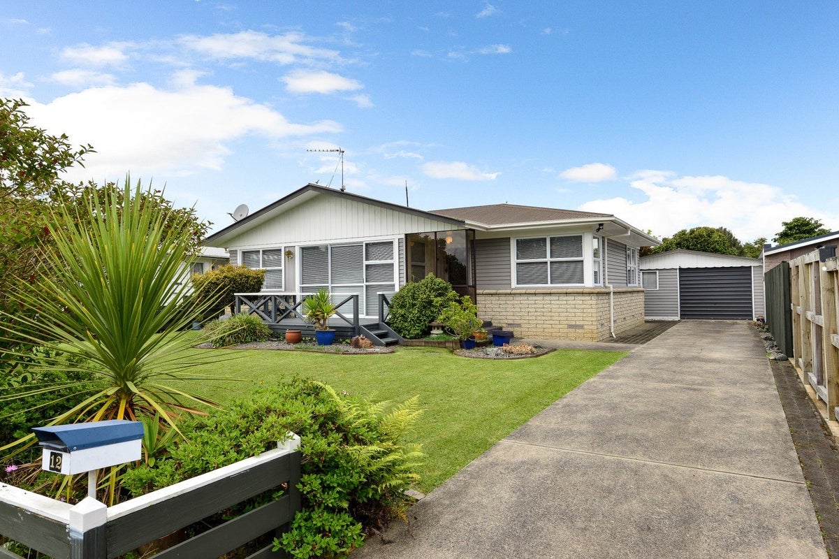 12 Thorpe Street, Fairview Downs, Hamilton - Carousel 1