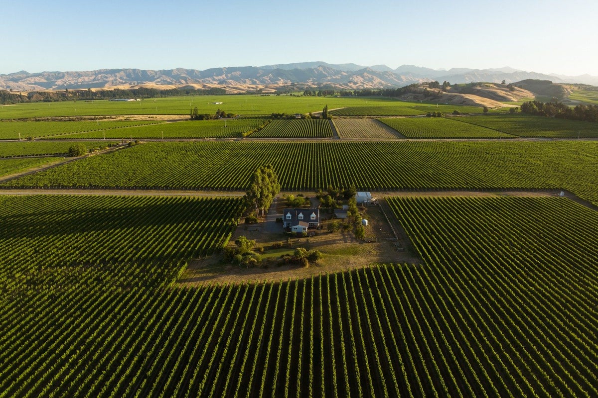 442 State Highway 1, Tamahere - Carousel 1