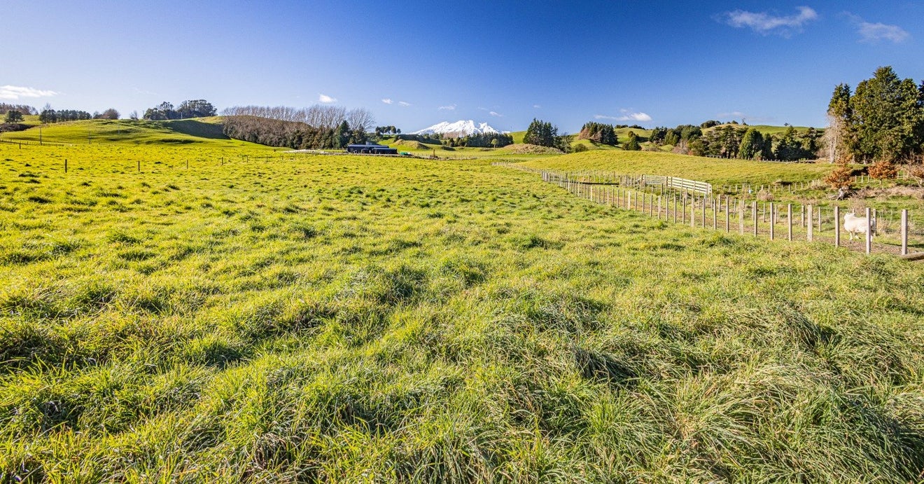 14 Smiths Track, Mangamutu, Pahiatua - Carousel 1