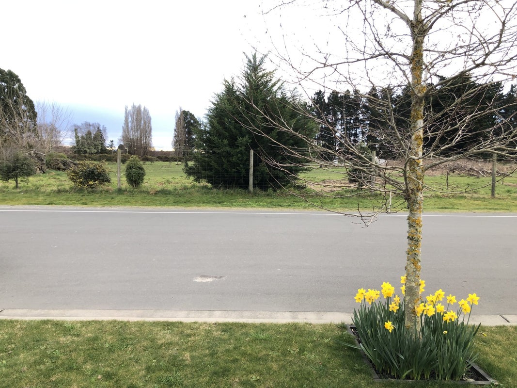 10 Dunlops Road, Marshland, Christchurch - Carousel 2
