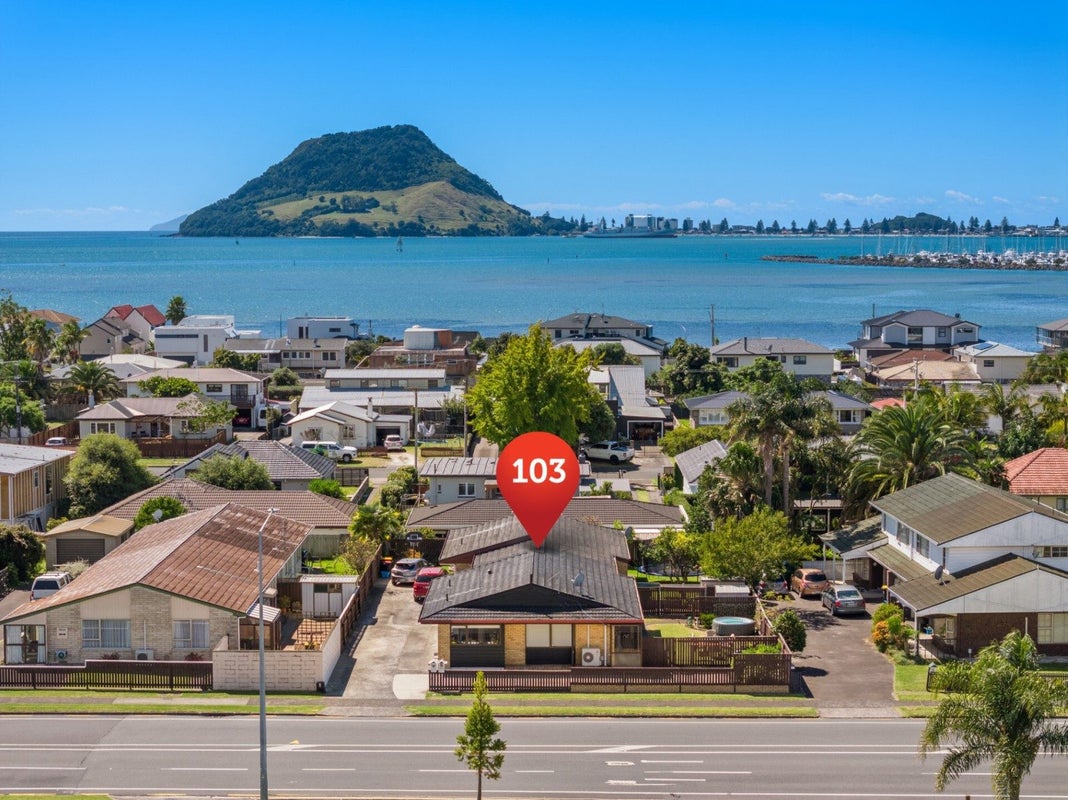 103 Chapel Street, Otumoetai, Tauranga - Carousel 1