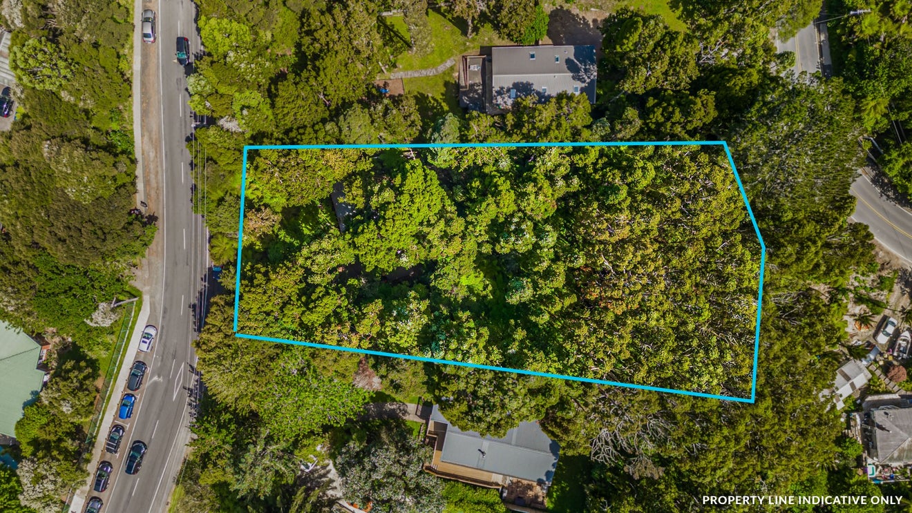 227 Woodlands Park Road, Titirangi, Auckland - Carousel 24