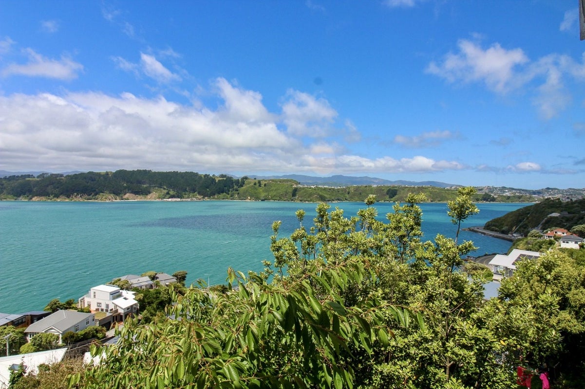 37 Grafton Road, Roseneath, Wellington - Carousel 12