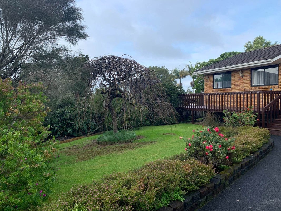 6 Sailfish Drive, West Harbour, Auckland - Carousel 16