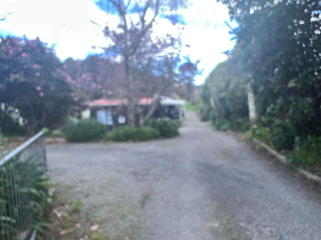 196 Main Road South, Raumati South, Paraparaumu - Carousel 17