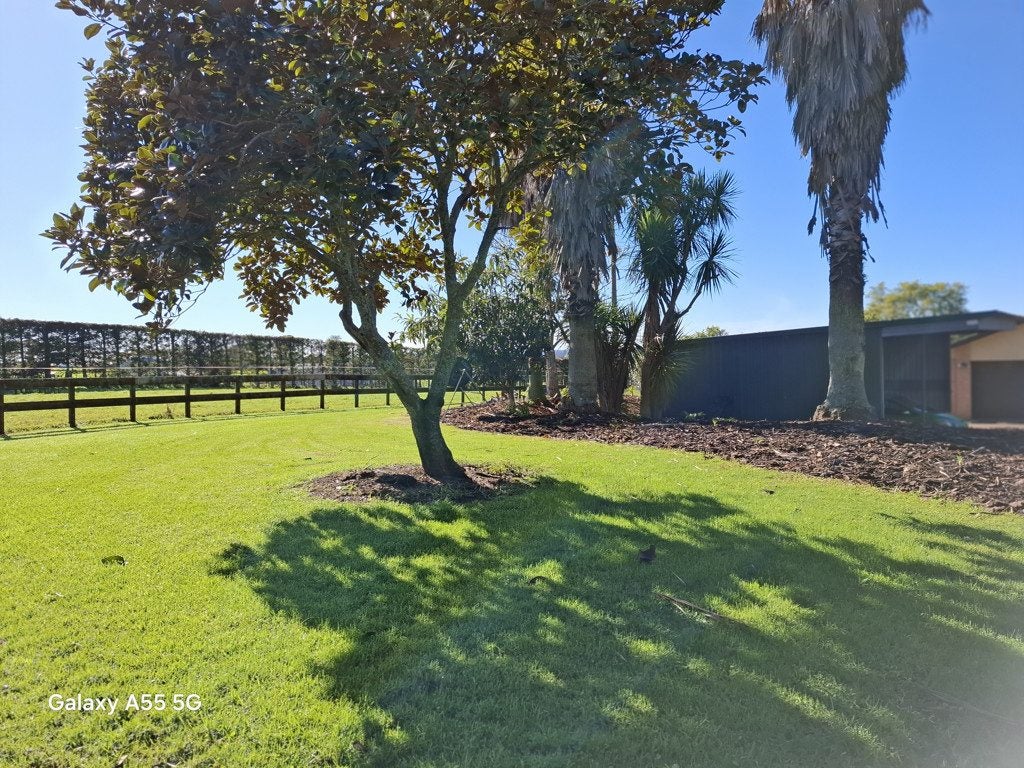 469 Waitakere Road, Henderson - Carousel 20