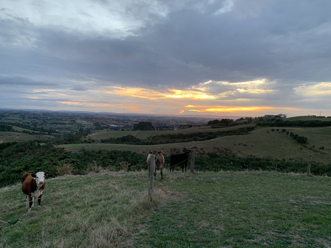 490 Ararimu Road, Ramarama, Drury - Carousel 23