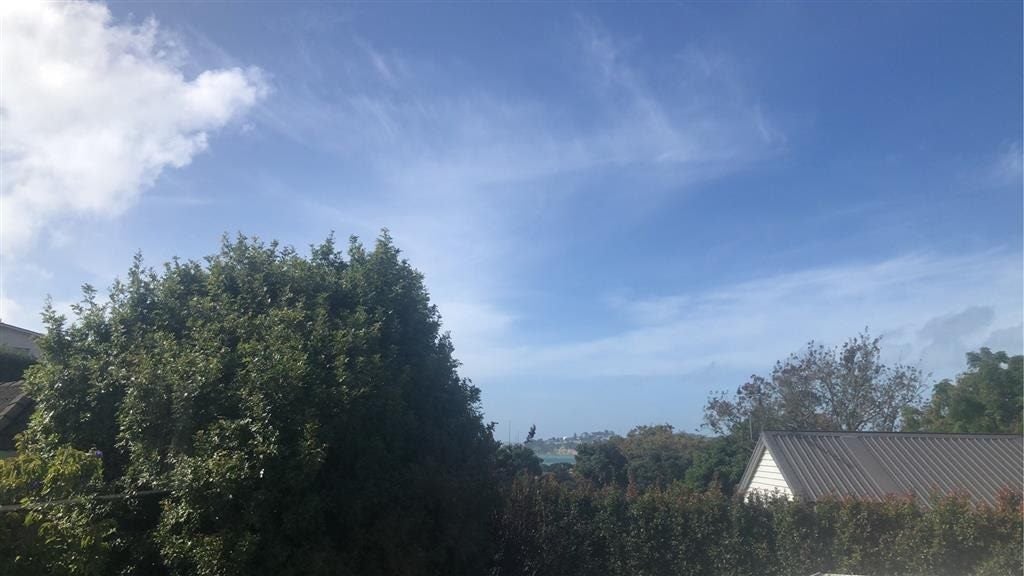 49B Kohimarama Road, Kohimarama, Auckland - Carousel 19