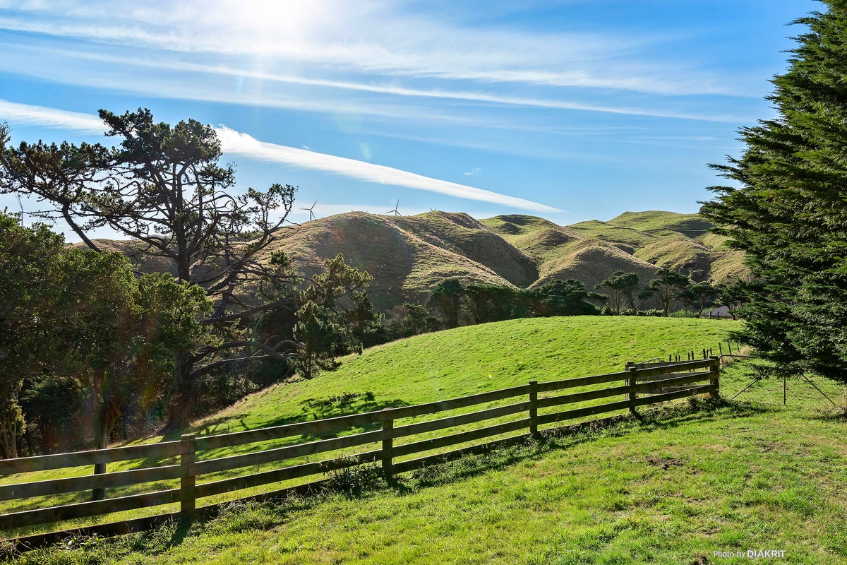 182 Takarau Gorge Road, Ohariu, Wellington - Carousel 2