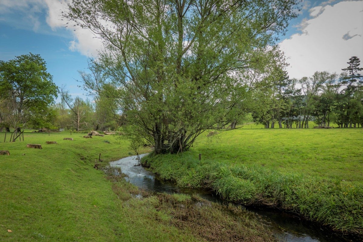 131 Trig Road North, Waihi, Waihi - Carousel 26