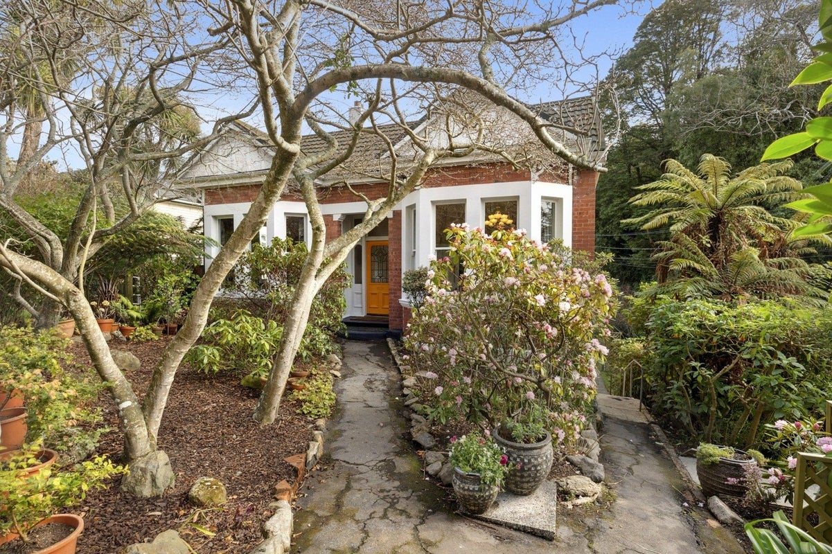 41 Littlebourne Road, Roslyn, Dunedin - Carousel 1