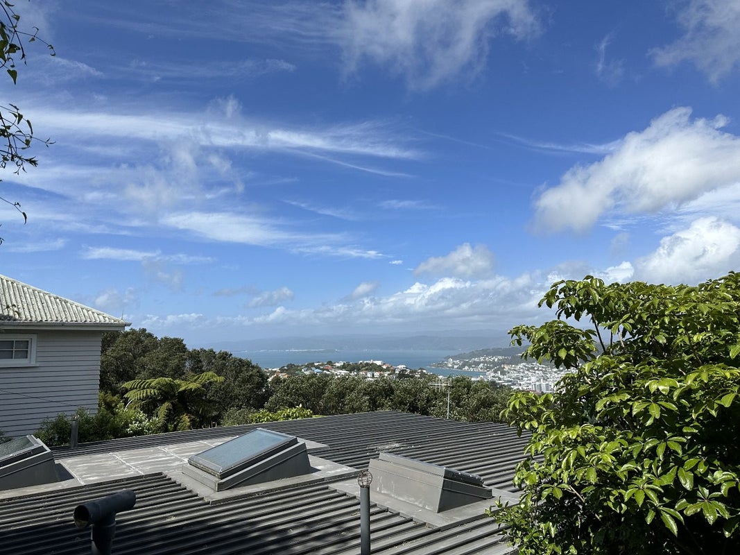 44 Highbury Road, Highbury, Wellington - Carousel 8