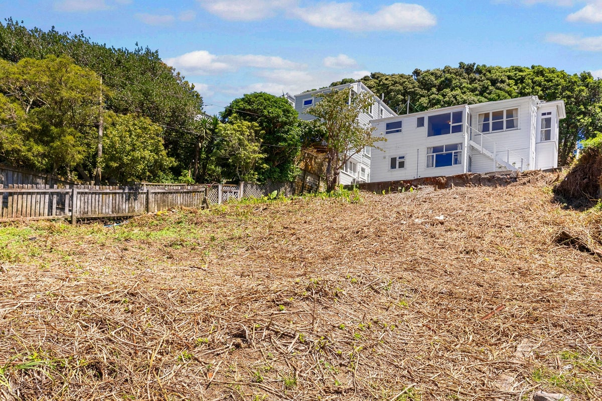 139 Tasman Street, Mount Cook, Wellington - Carousel 2
