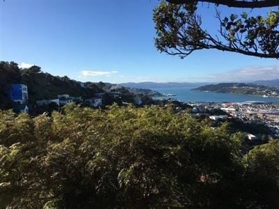 36 Hornsey Road, Melrose, Wellington - Carousel 1
