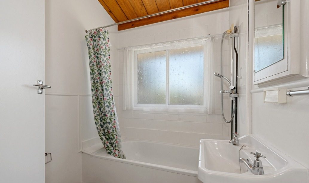 91A Rimu Street, Maeroa, Hamilton - Carousel 9