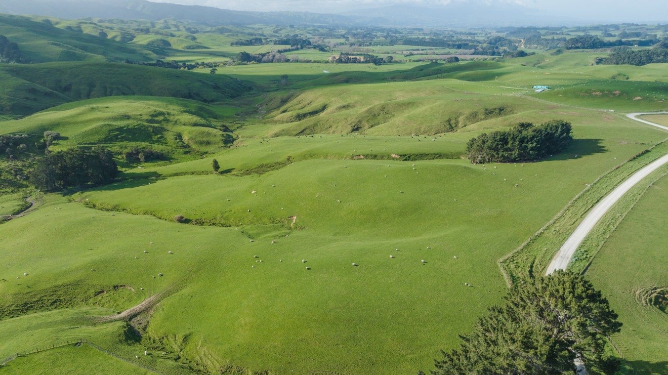 95 West Ridge Road, Maunu, Whangarei - Carousel 2