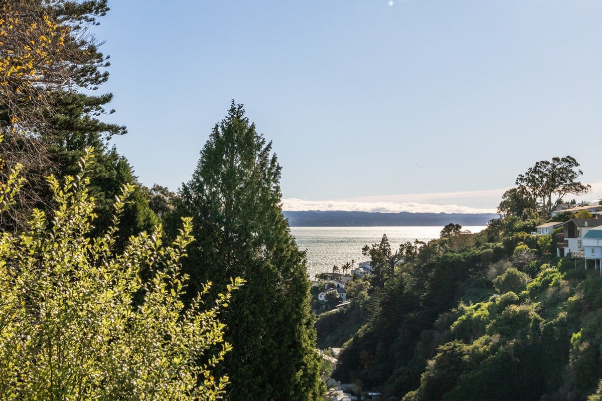 23 Fitzroy Road, Bluff Hill, Napier, Hawke's Bay - Carousel 2