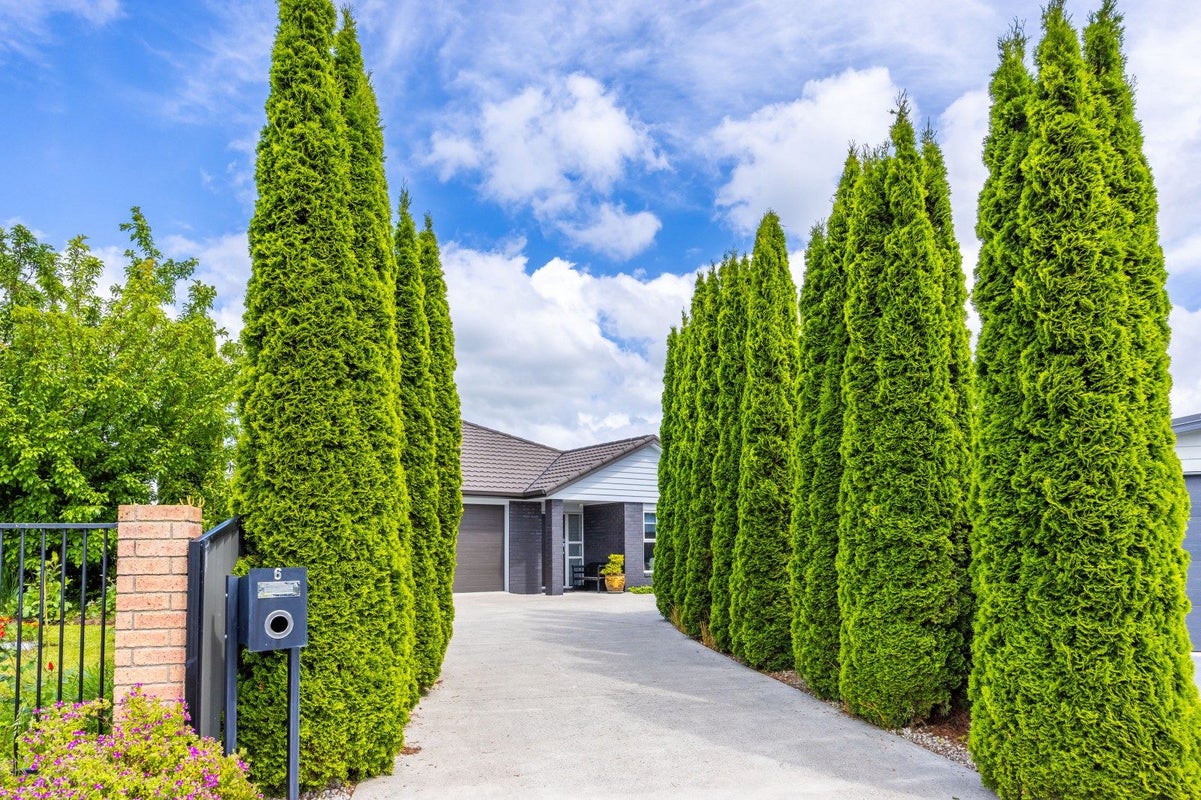 6 Peter Way Place, Glenview, Hamilton - Carousel 2