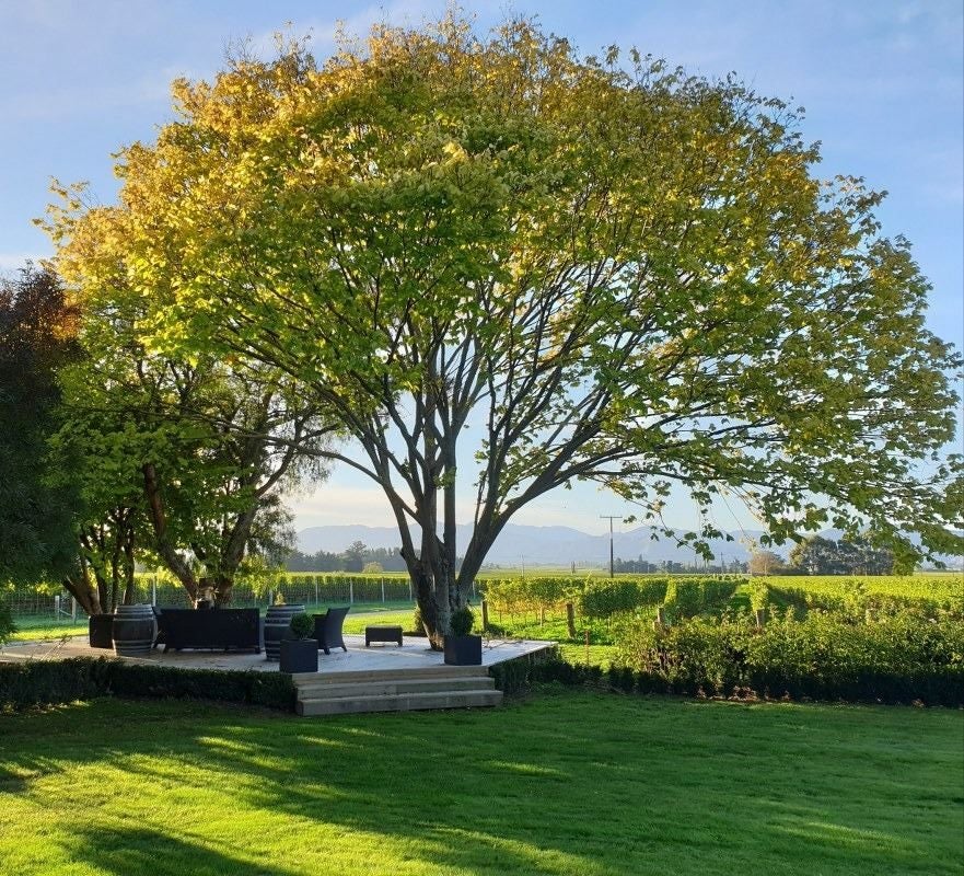 33 Corletts Road, Blenheim - Carousel 2