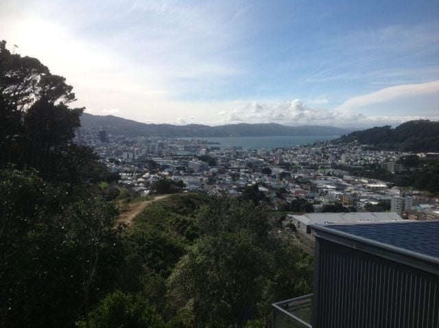 4 Pearce Street, Vogeltown, Wellington - Carousel 1