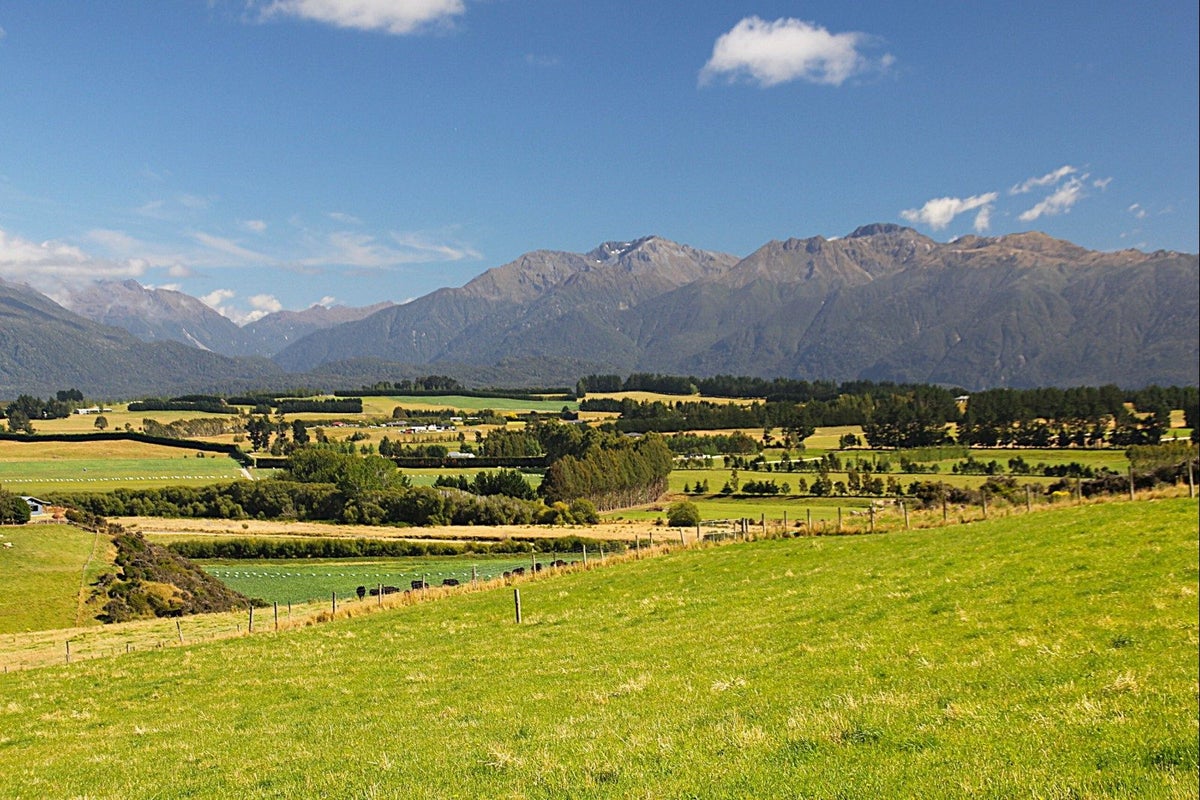 65 Ridgedale Road, HILLSIDE, TE ANAU - Carousel 1