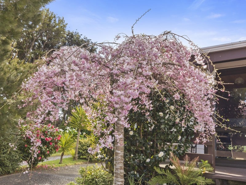 42 Whitechapel Grove, Stokes Valley, Lower Hutt - Carousel 20